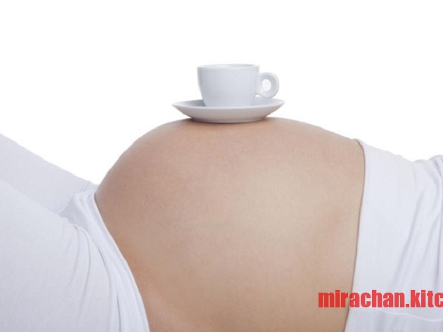 Trà sữa cho bà bầu Wakodo