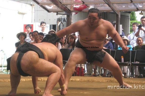 Võ sĩ sumo