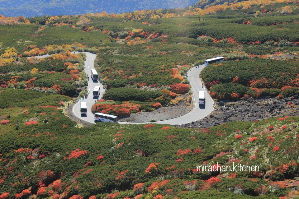 Ngắm lá đỏ ở Nhật Norikura Highland