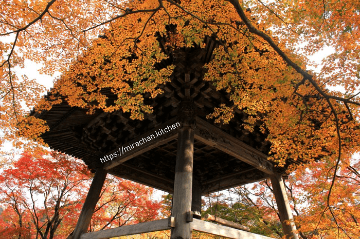 Ngắm lá đỏ ở Kyoto