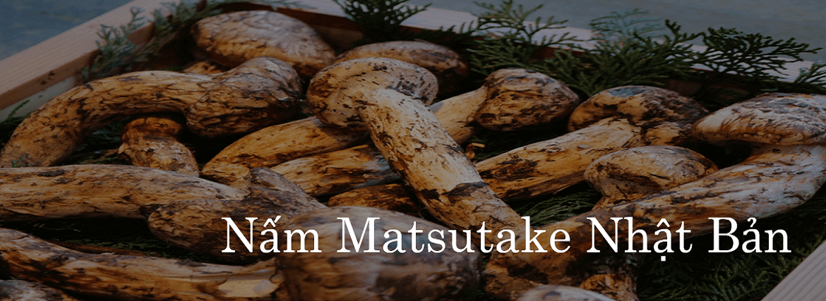 Cơm nấm Matsutake