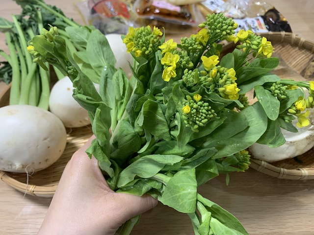 Rau hoa cải Nanohana